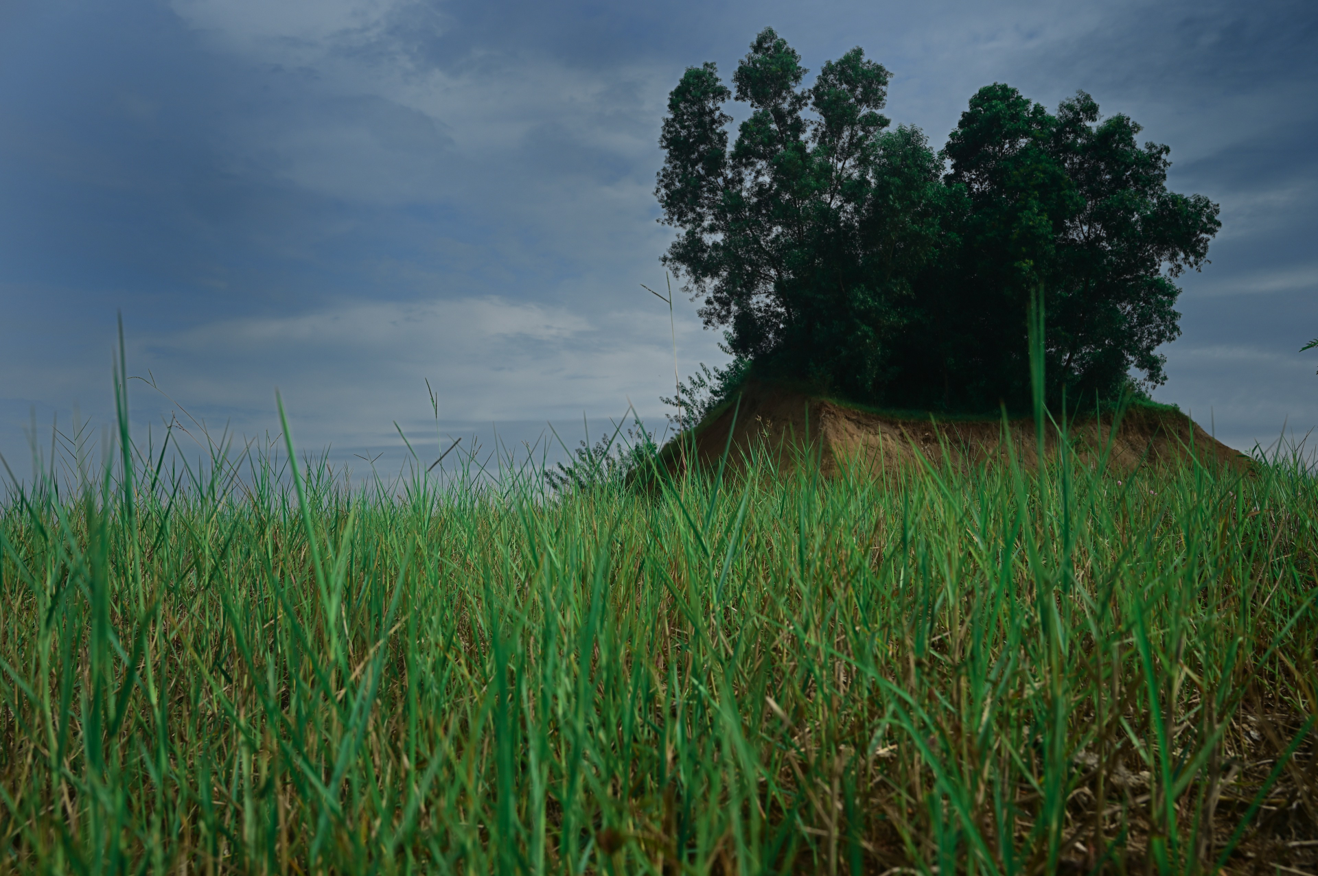 Boring Shooting Image