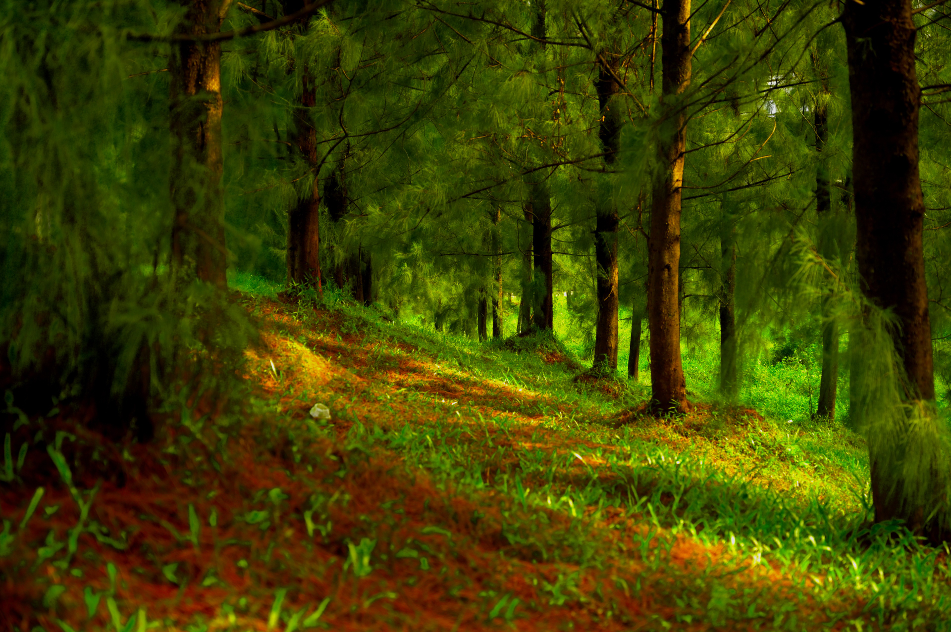 Boring Shooting Image