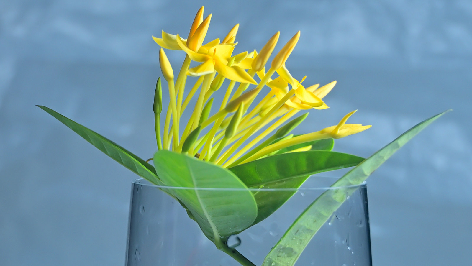 Boring Shooting Image