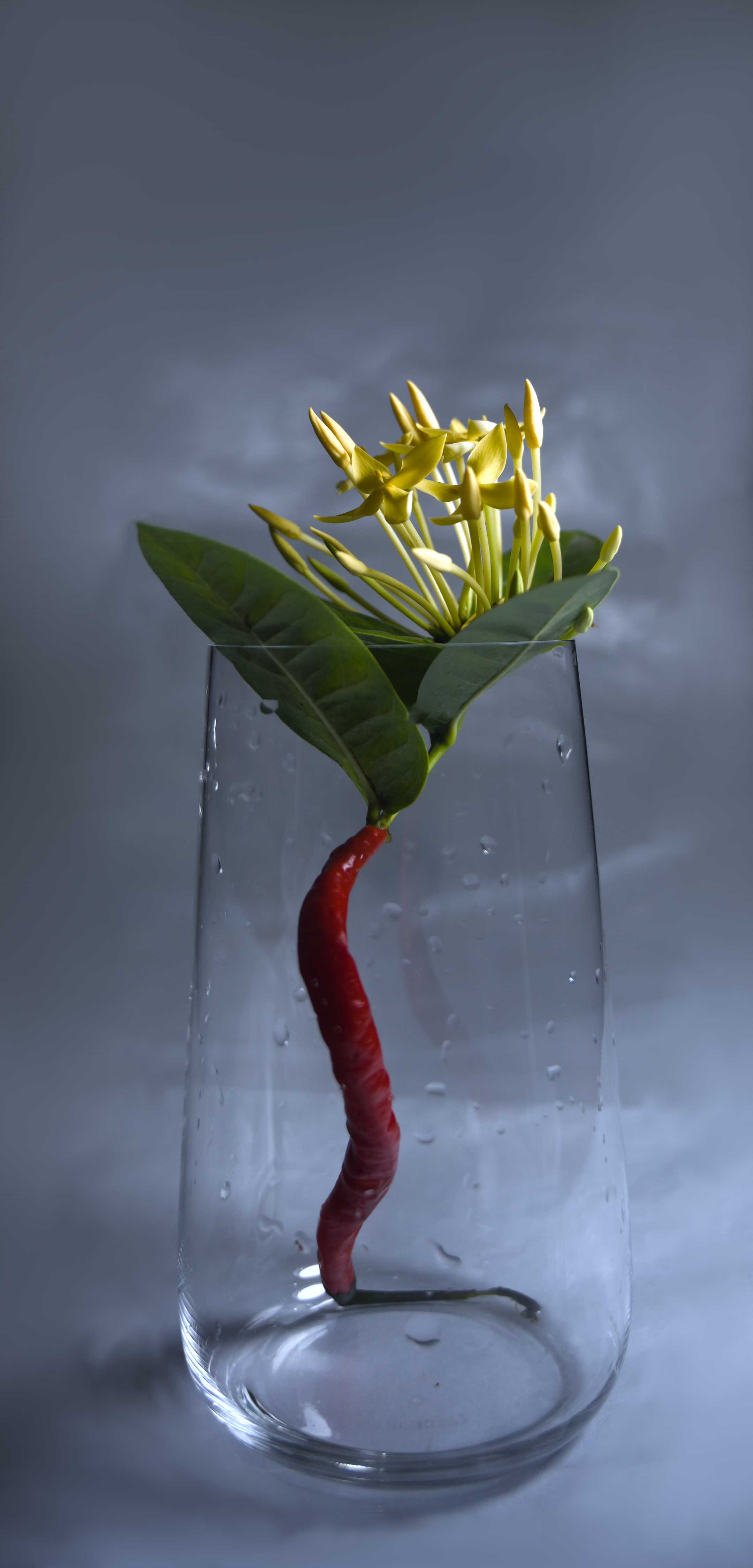 Boring Shooting Image