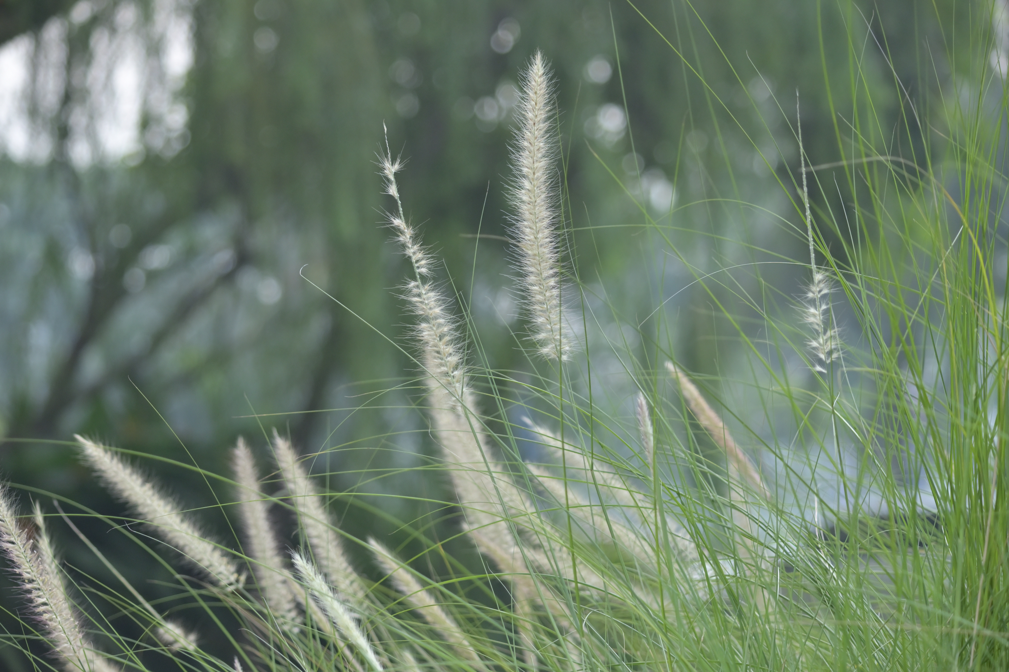 Boring Shooting Image