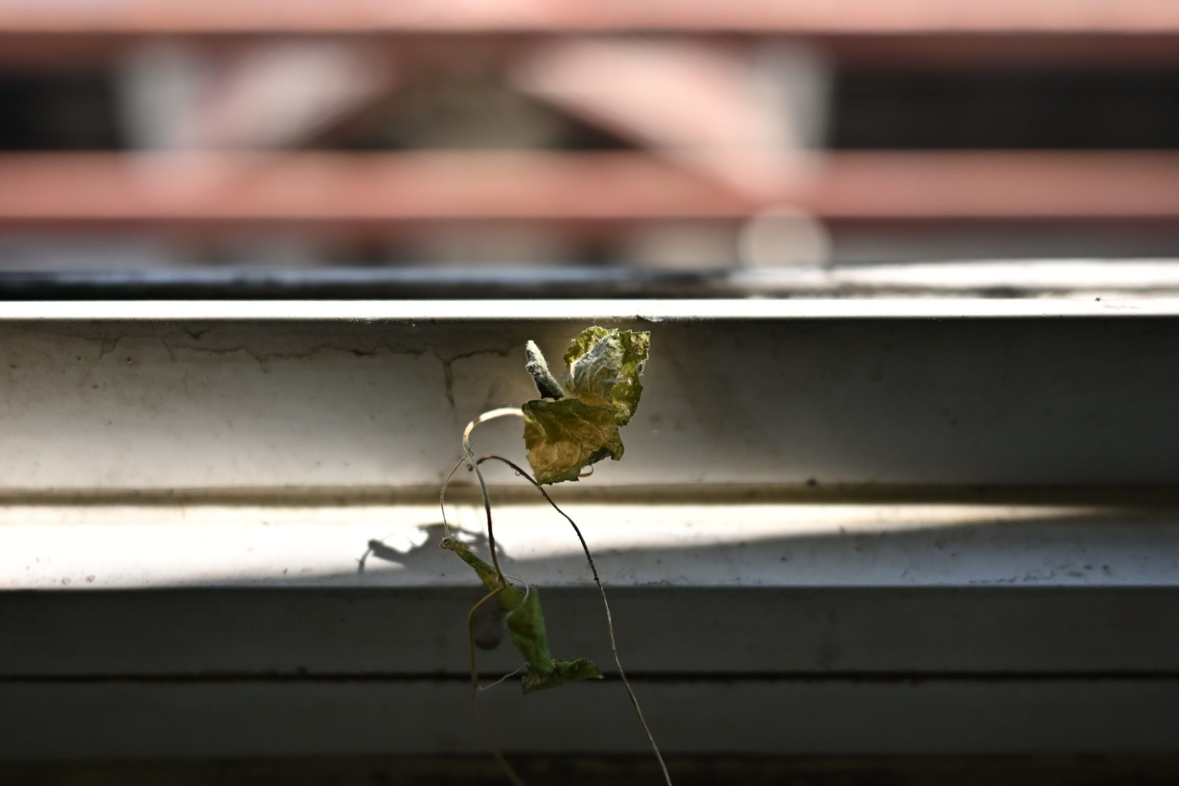 Boring Shooting Image