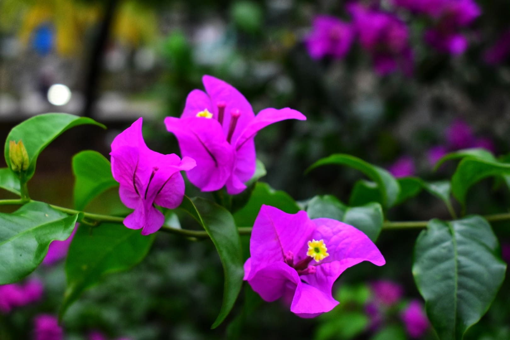 Boring Shooting Image