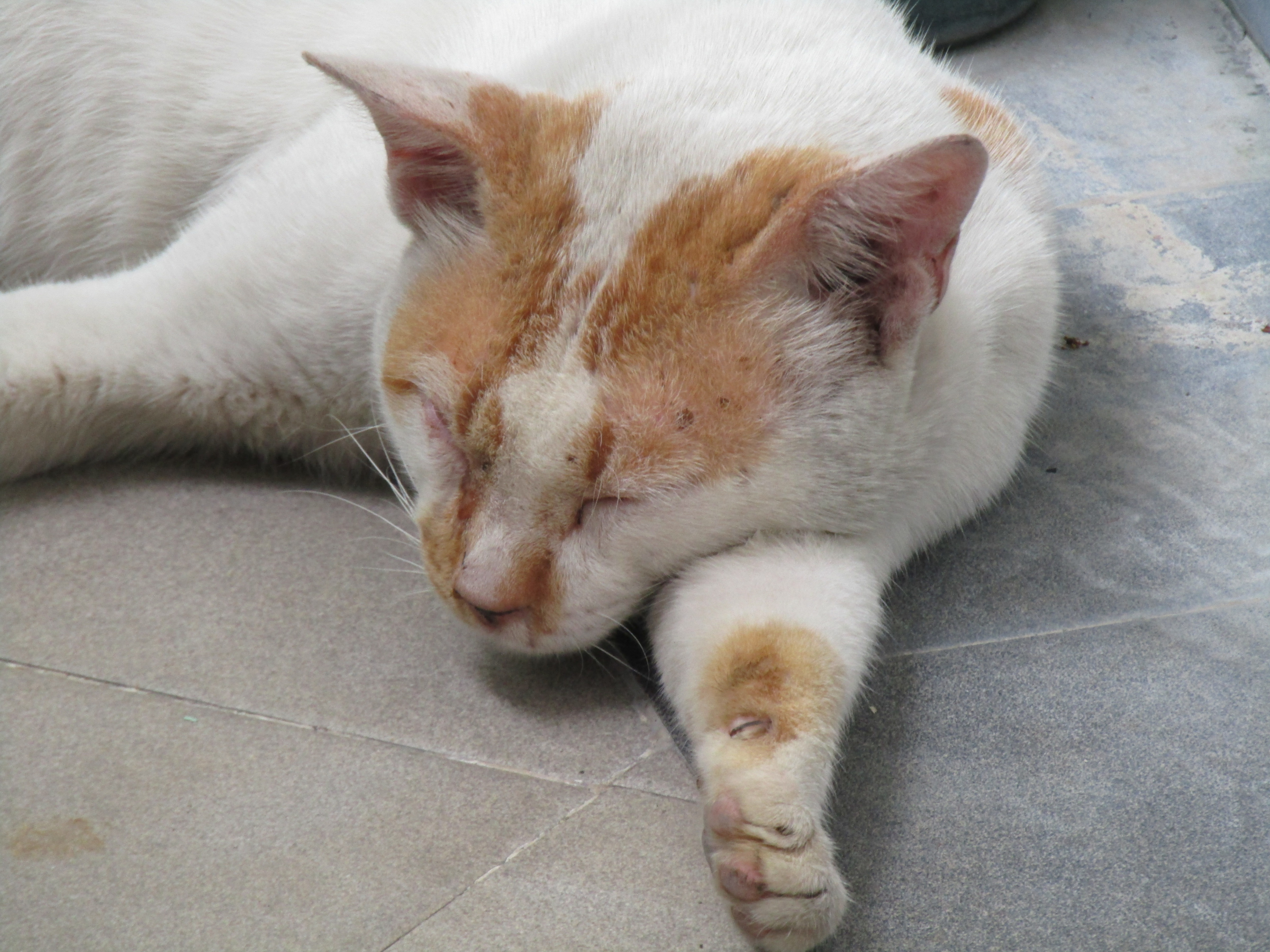 Boring Shooting Image