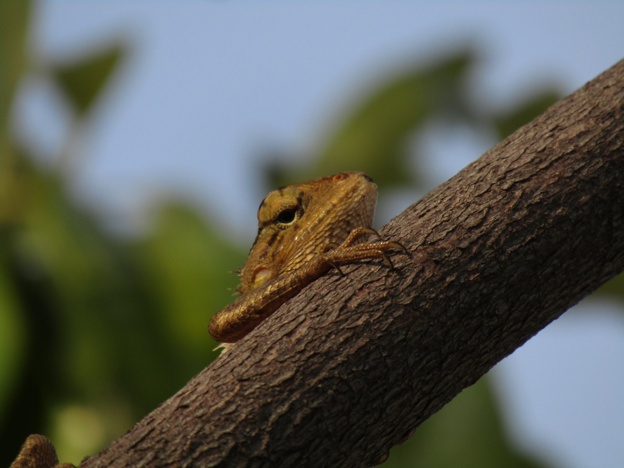 Boring Shooting Image